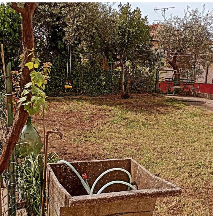 Casa Vacanze Toscana,Lago Di Massaciuccoli Exteriér fotografie