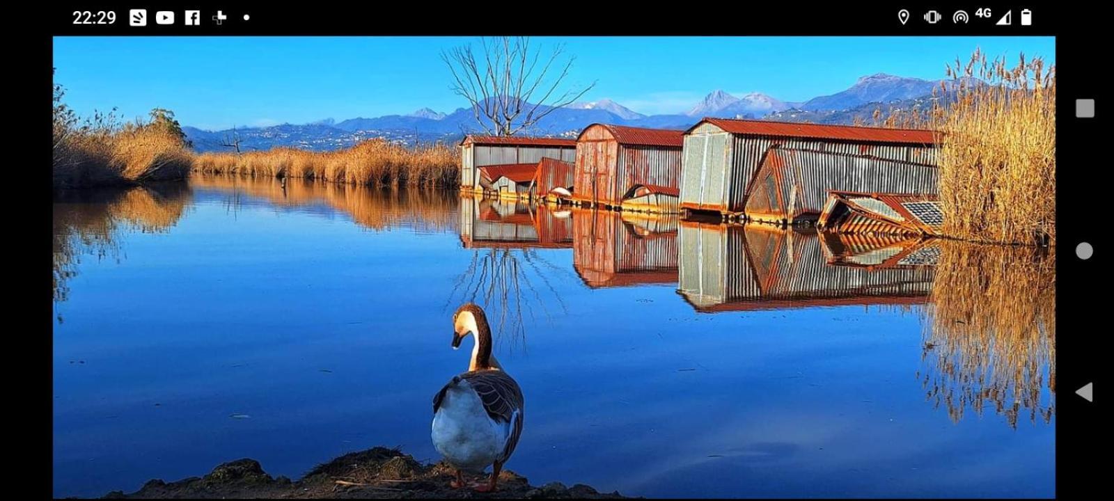 Casa Vacanze Toscana,Lago Di Massaciuccoli Exteriér fotografie
